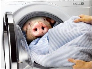 Die Waschmaschine riecht stinkend
