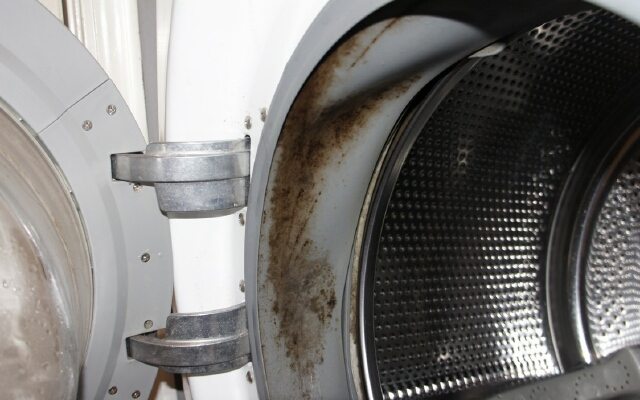 nettoyage du tambour de la machine à laver