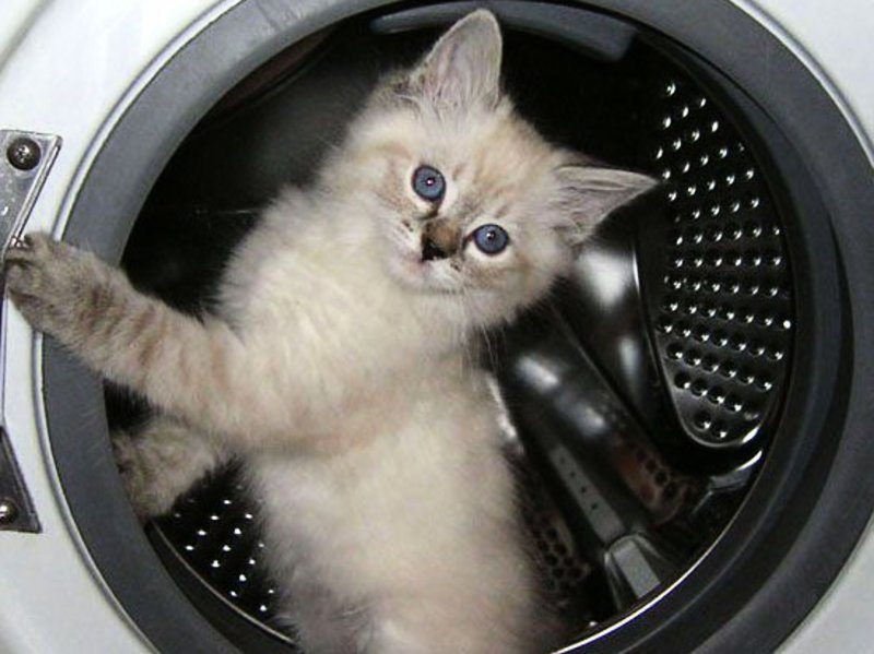 Mansjetten på vaskemaskinen er revet