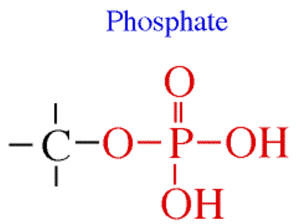 mga phosphate