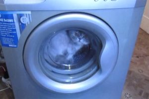 Ein Fremdkörper ist in die Waschmaschine geraten – wie bekomme ich ihn wieder heraus?
