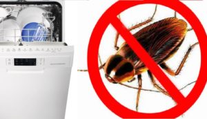 So entfernen Sie Kakerlaken aus der Spülmaschine