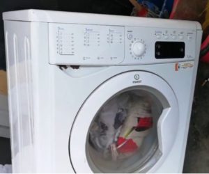 The Indesit washing machine takes in water and does not wash