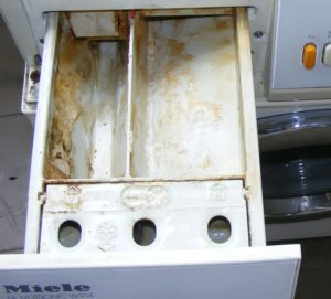 Com netejar el compartiment de pols en una rentadora des de l'escala?