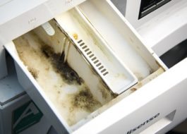 Hogyan tisztítsuk meg a mosógép portartóját a penésztől