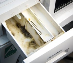 ¿Cómo limpiar el moho del compartimento de polvo de una lavadora?