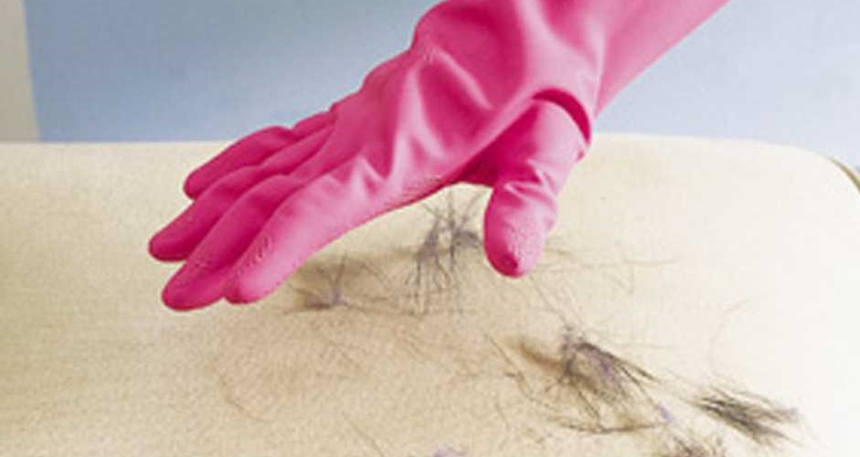 rengøring af uld med en handske