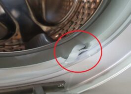 השרוול במכונת הכביסה בין התוף לדלת נקרע