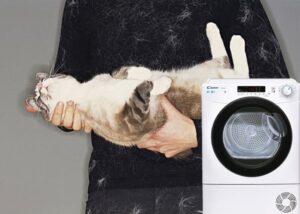 วิธีขจัดขนสัตว์เมื่อซักด้วยเครื่องซักผ้า