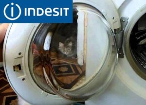 Sửa cửa sập máy giặt Indesit
